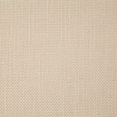 Pindler MANN ECRU 8209 Fabric