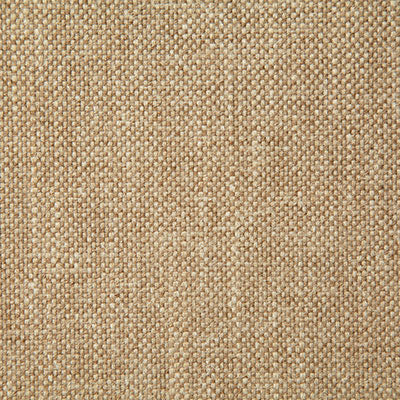 Pindler MANN RAFFIA 8209 Fabric