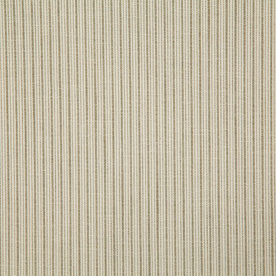 Pindler MERRILL FERN 8210 Fabric