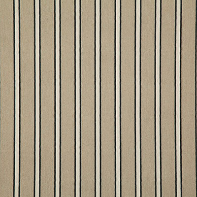 Pindler MAYER NOIR 8212 Fabric