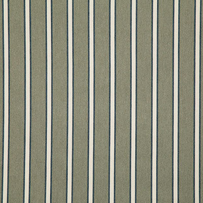 Pindler MAYER SAGE 8212 Fabric