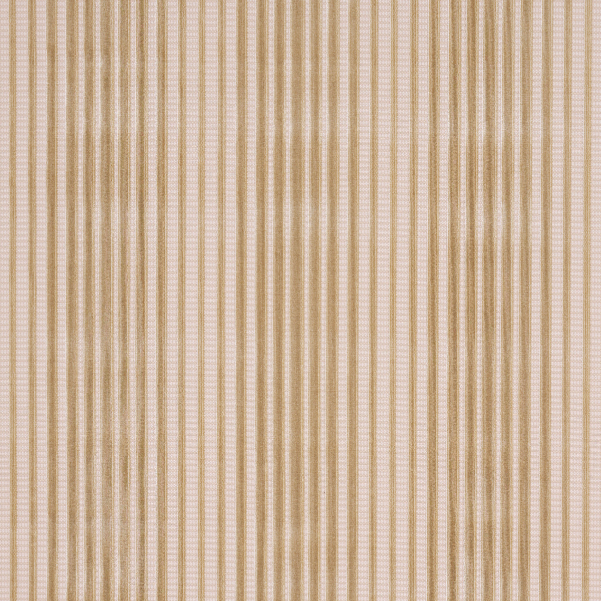 Schumacher Chimay Stripe Velvet Champagne Fabric