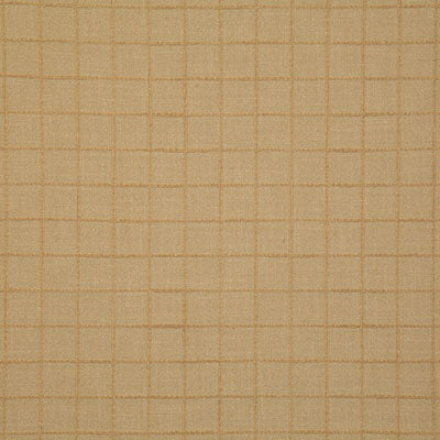Pindler NELSON HONEY 8217 Fabric