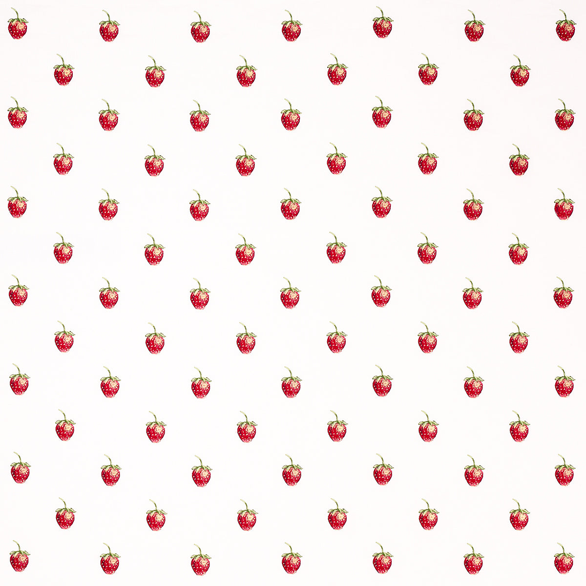 Schumacher Freshie Fresh Ivory Fabric