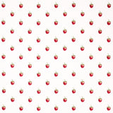 Schumacher Freshie Fresh Ivory Fabric