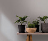 Eade's OL82351-sample Blue