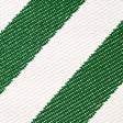 Schumacher 82432 AIRMAIL II INDOOR/OUTDOOR TAPE in GREEN AND