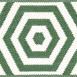 Schumacher 82451 BEES KNEES INDOOR/OUTDOOR TAPE in GREEN Tri