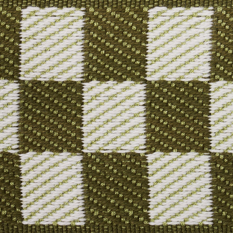 Schumacher 82482 ZEE TAPE in OLIVE Trim - CHARLAP HYMAN & HE