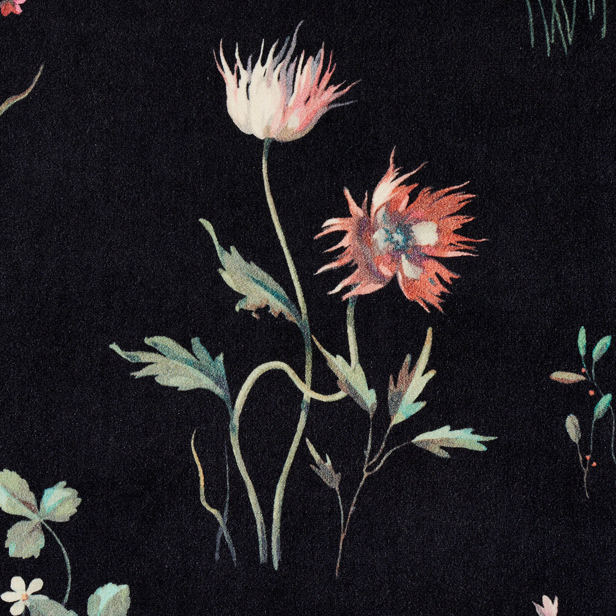Schumacher Primavera Velvet Black Fabric - Eade's Wallpaper
