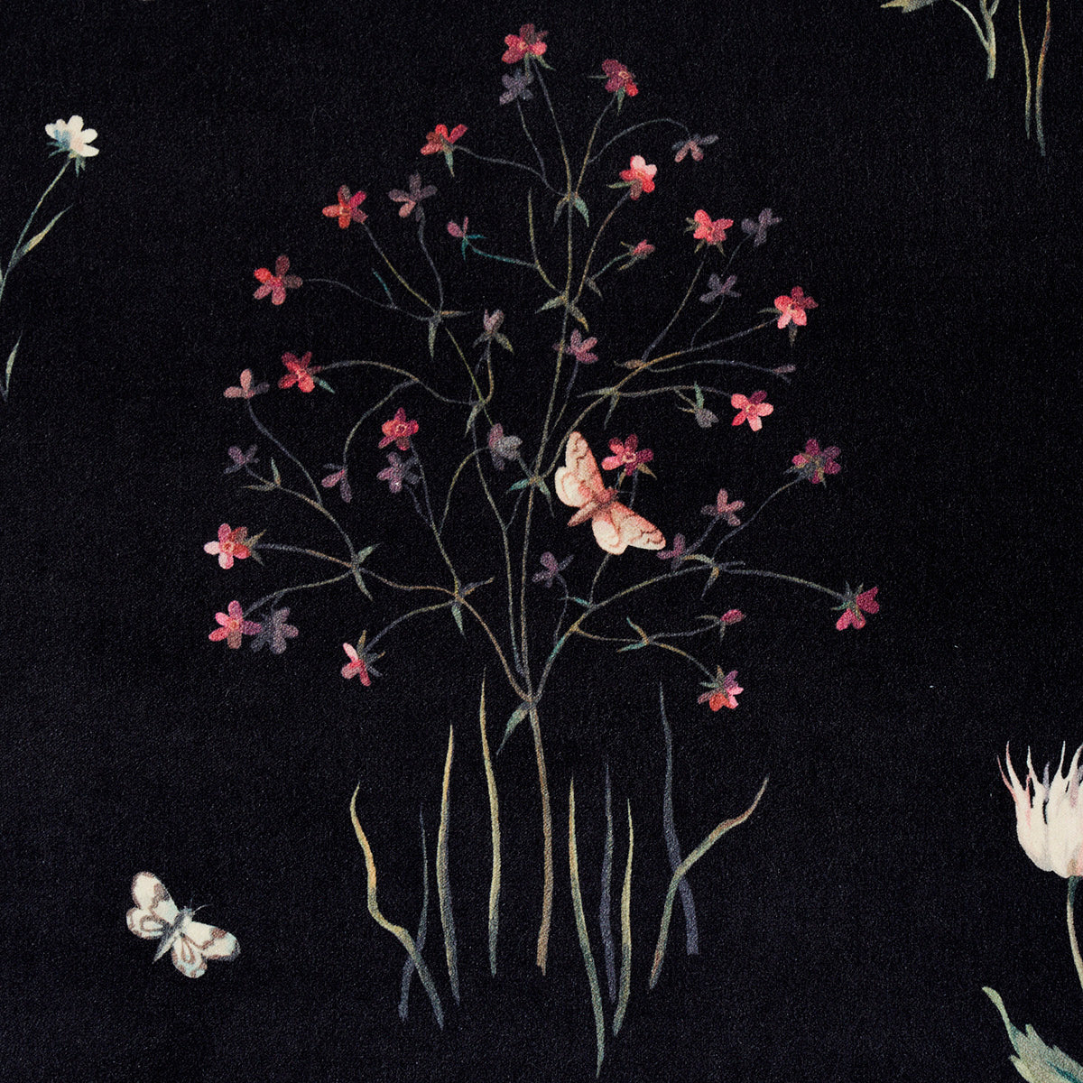 Schumacher Primavera Velvet Black Fabric - Eade's Wallpaper