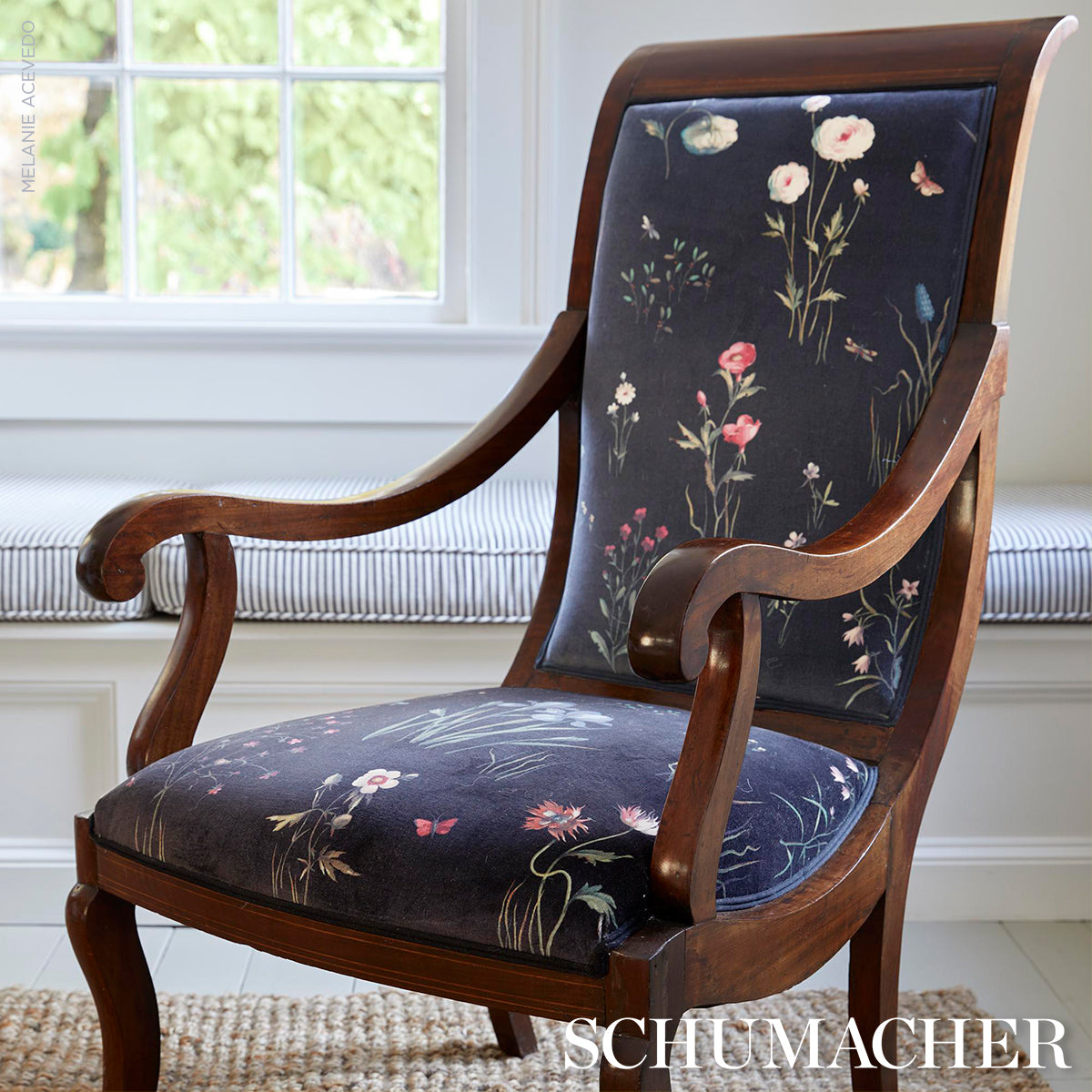 Schumacher Primavera Velvet Black Fabric - Eade's Wallpaper