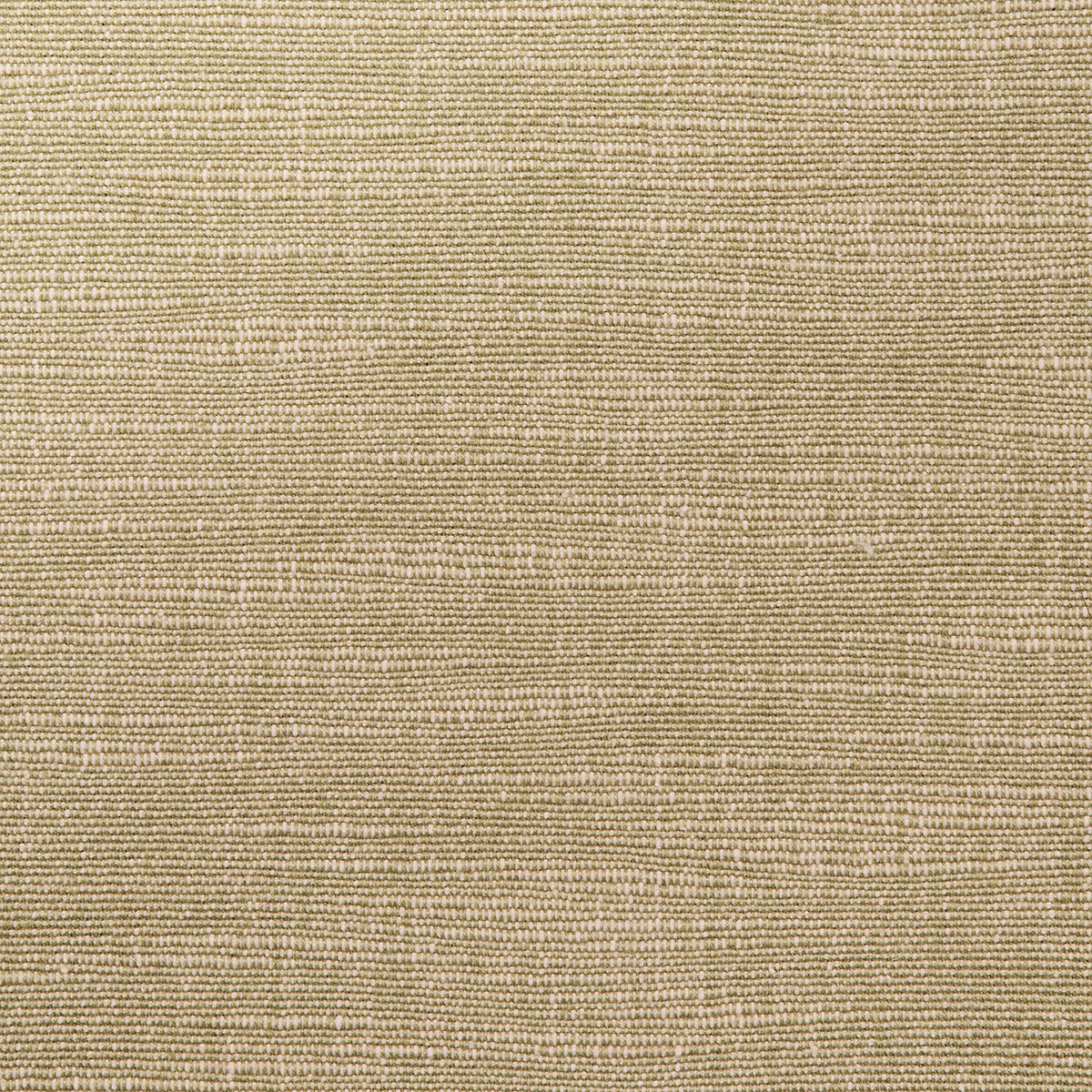 Schumacher Annabel Cotton Neutral Fabric