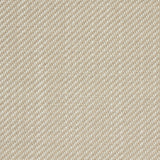 Schumacher Outdoor Heavyweight Twill Neutral Fabric