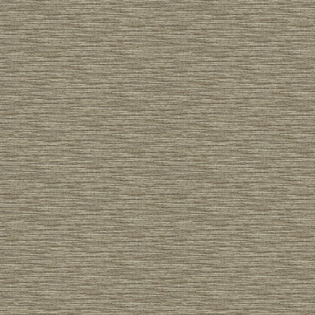  38-W9661 8275 Wallcovering - Eade's Wallpaper & Fabric