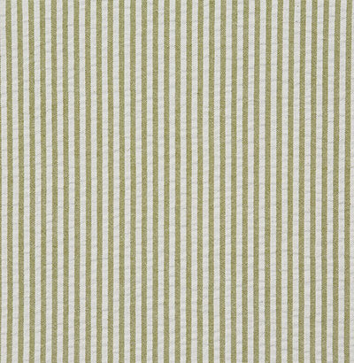 Pindler FLINT SPROUT 8283 Fabric