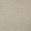 Pindler LENNY DUNE 8294 Fabric