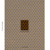 Schumacher Coronation Velvet Bronze Fabric