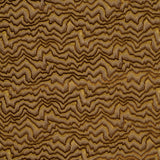 Schumacher Zambezi Velvet Bronze Fabric - Eade's Wallpaper