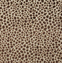 Pindler MAGDALENA COCOA 8302 Fabric