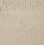 Pindler MAGDALENA DUNE 8302 Fabric