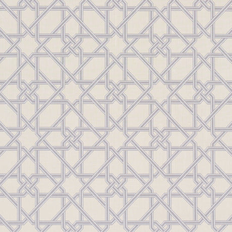 Schumacher Le Maroc Épinglé Dove Fabric - Eade's Wallpaper