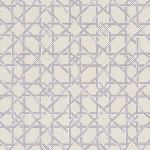 Schumacher Le Maroc Épinglé Dove Fabric - Eade's Wallpaper