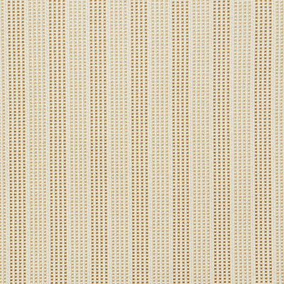 Pindler CARPINTERIA GLOW 8335 Fabric