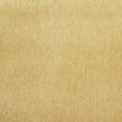 Pindler KIARA CAMEL 8348 Fabric