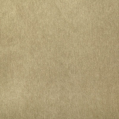 Pindler KIARA FAWN 8348 Fabric