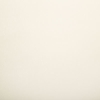 Pindler KIARA IVORY 8348 Fabric