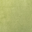 Pindler KIARA PALM 8348 Fabric