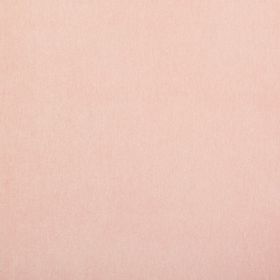 Pindler KIARA PETAL 8348 Fabric