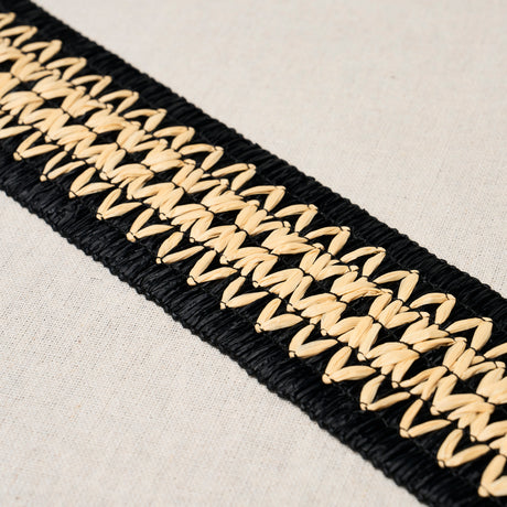 Schumacher 83551 RAPHIINAE TAPE in BLACK Trim - MESA