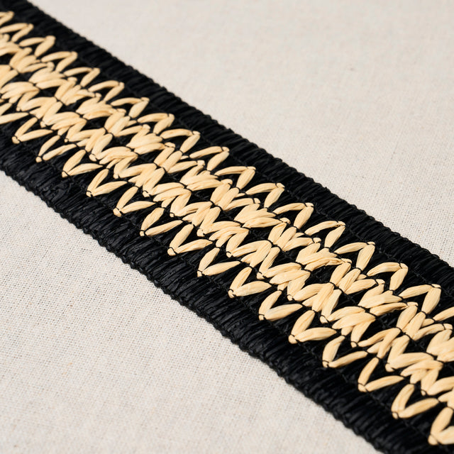 Schumacher 83551 RAPHIINAE TAPE in BLACK Trim - MESA