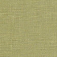 Pindler SUSANNAH PALM 8357 Fabric