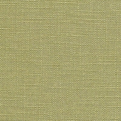 Pindler SUSANNAH PALM 8357 Fabric
