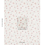 Schumacher Iyla Embroidery Rose & Natural Fabric