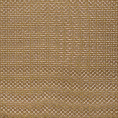 Pindler KAYCE DUNE 8368 Fabric