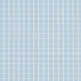 Schumacher Georgie Reversible Check China Blue Fabric