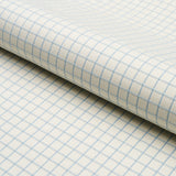 Schumacher Georgie Reversible Check China Blue Fabric