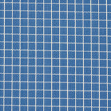 Schumacher Georgie Reversible Check Indigo Fabric