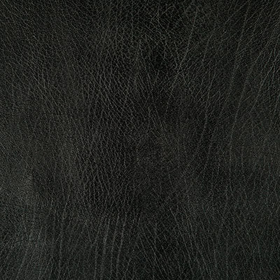Pindler ROWDY BLACK 8371 Fabric