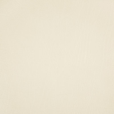 Pindler ROWDY BONE 8371 Fabric