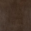 Pindler ROWDY EARTH 8371 Fabric