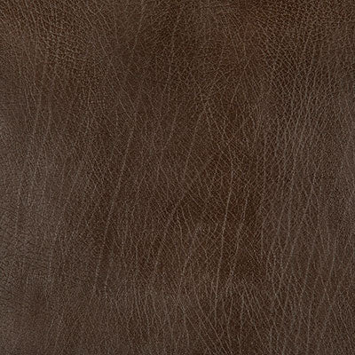 Pindler ROWDY EARTH 8371 Fabric
