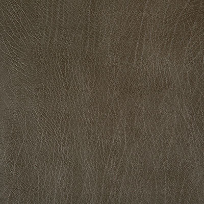 Pindler ROWDY MOSS 8371 Fabric