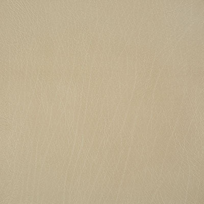 Pindler ROWDY PUMICE 8371 Fabric