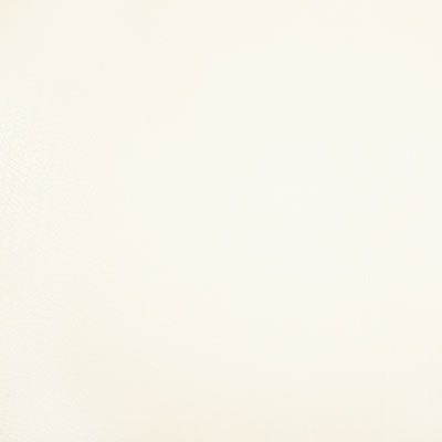 Pindler ROWDY WHITE 8371 Fabric