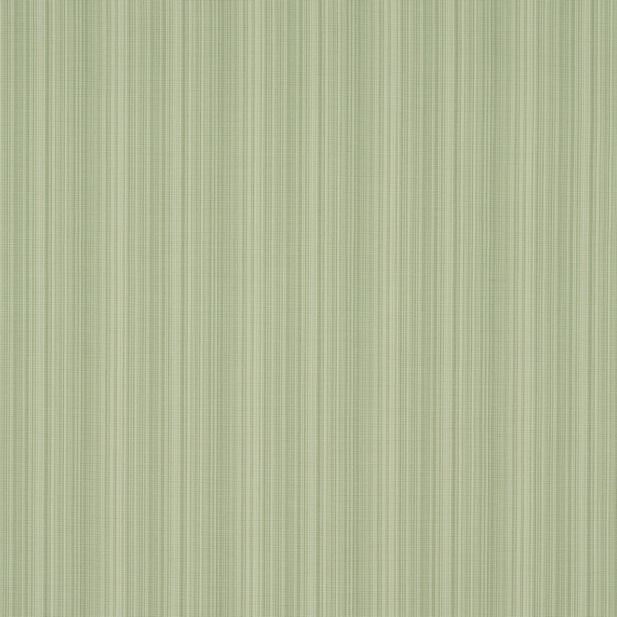 Schumacher Gracie Solid Strié Leaf Green Fabric